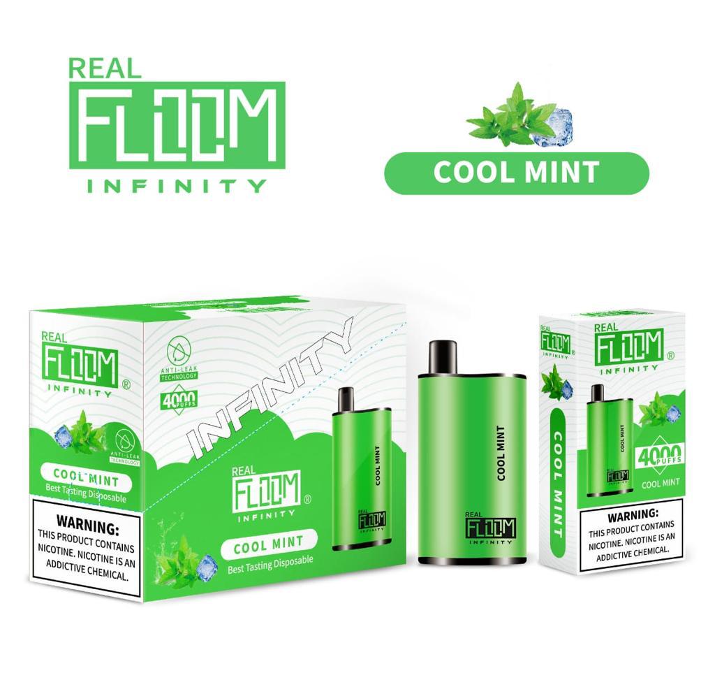 Floom Infinity Disposable 4000 Puffs 10mL 50mg | MOQ 5 | Cool Mint with Packaging