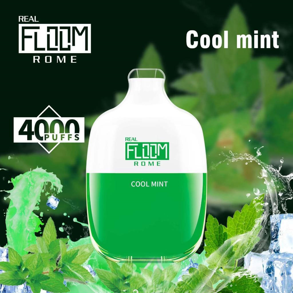 Floom Rome Disposable | 4000 Puffs | 10mL | 50mg | MOQ 5 | Cool Mint