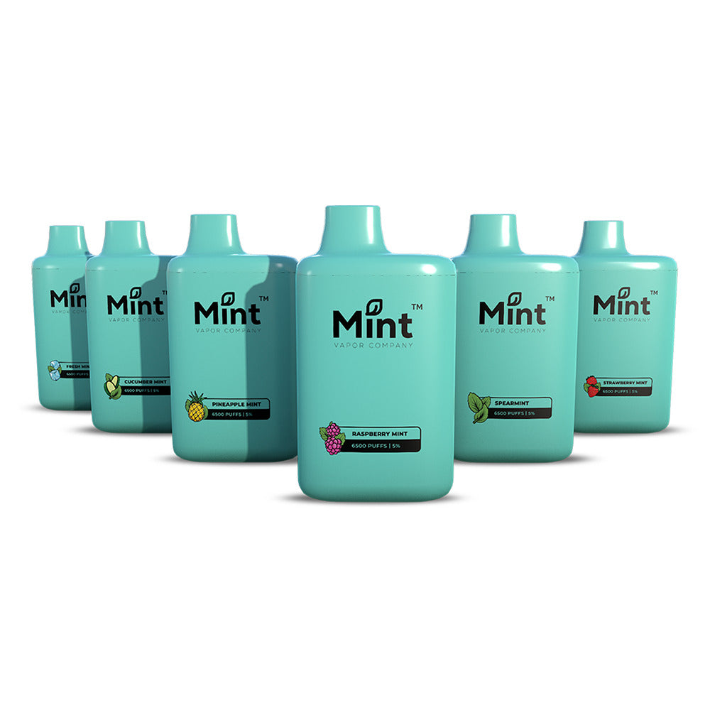 Mint Series Disposable | 6500 Puffs | 16mL | 50mg | MOQ 5 | Group Photo