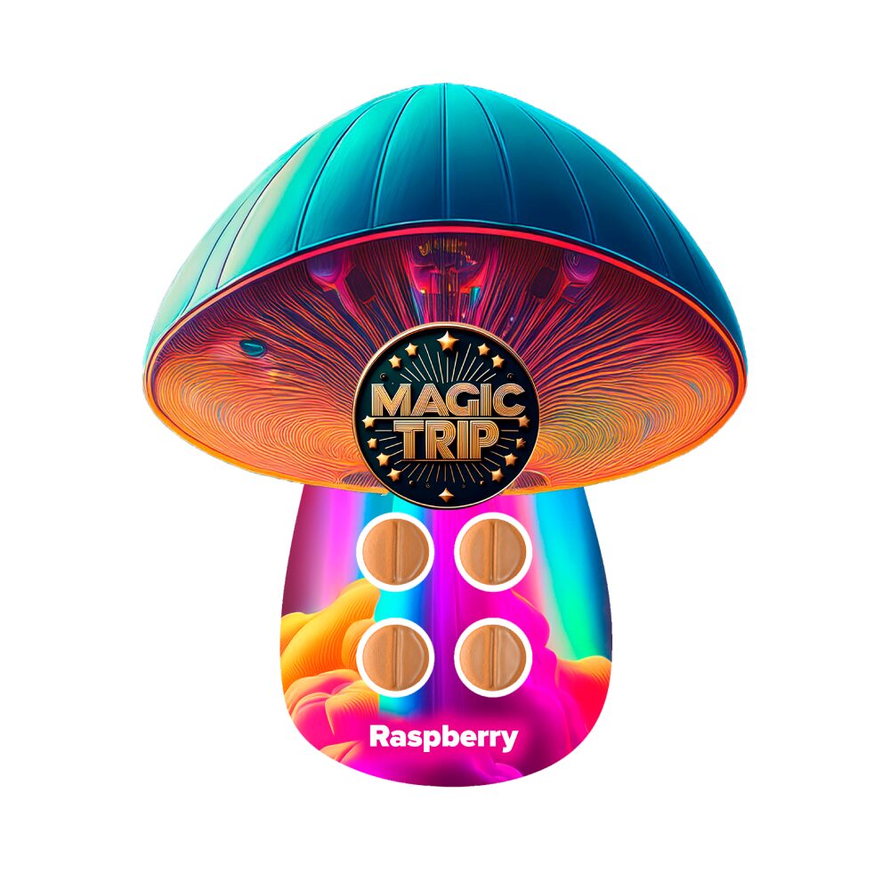 Magic Trip (Shroom)(4ct Tablet) - Raspberry