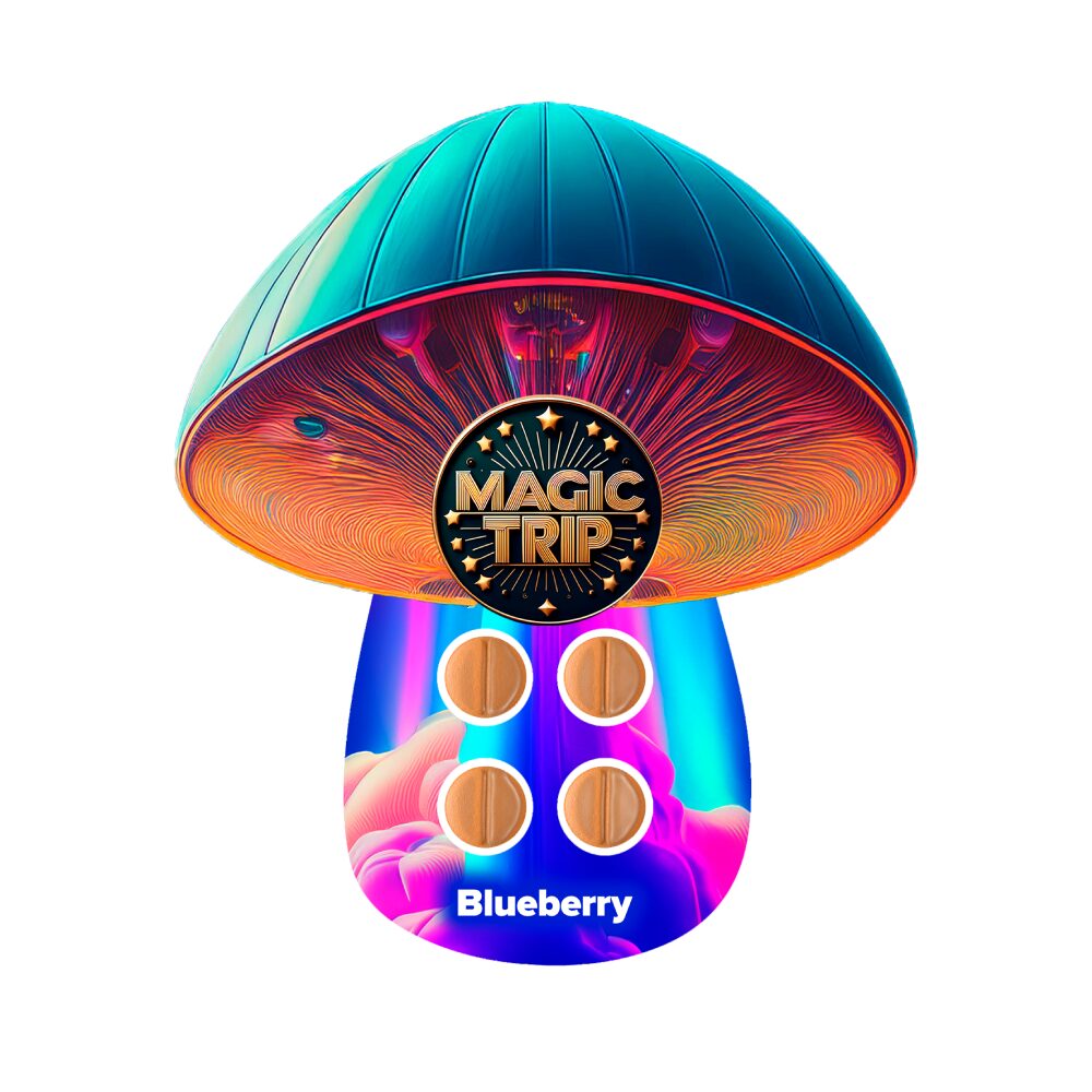 Magic Trip (Shroom)(4ct Tablet) - Blueberry