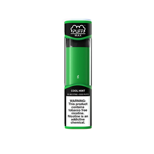 Puff Max Disposable 5000 Puffs 11mL 50mg | MOQ 10 | Cool Mint with Packaging