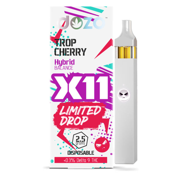 Paranoic – X11 Live Resin + Delta 11 + HHC + THCP + THCJD Disposable 2.5g | Trop Cherry Hybrid with Packaging